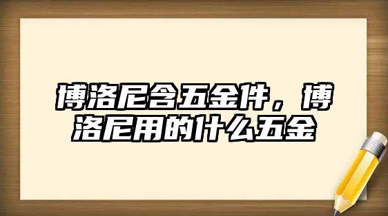 博洛尼含五金件，博洛尼用的什么五金