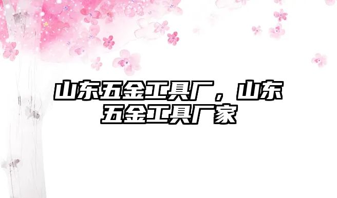 山東五金工具廠，山東五金工具廠家