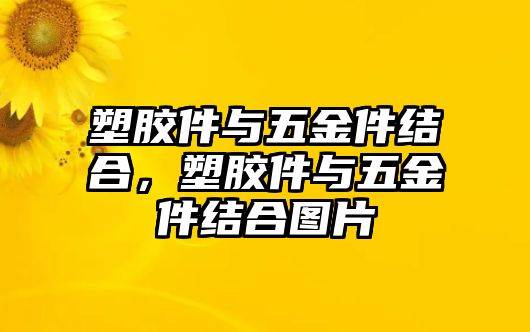 塑膠件與五金件結合，塑膠件與五金件結合圖片