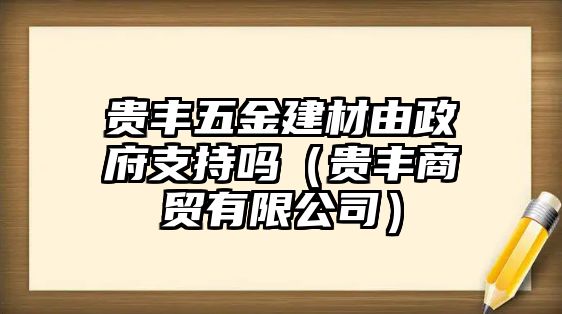 貴豐五金建材由政府支持嗎（貴豐商貿有限公司）