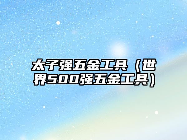 太子強五金工具（世界500強五金工具）