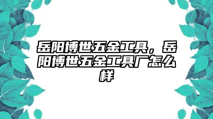 岳陽(yáng)博世五金工具，岳陽(yáng)博世五金工具廠怎么樣