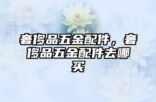 奢侈品五金配件，奢侈品五金配件去哪買