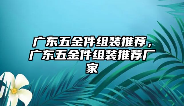 廣東五金件組裝推薦，廣東五金件組裝推薦廠家