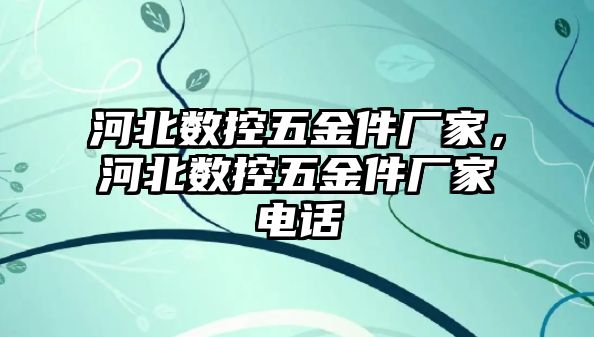 河北數控五金件廠家，河北數控五金件廠家電話