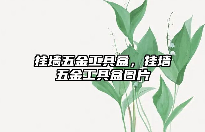 掛墻五金工具盒，掛墻五金工具盒圖片