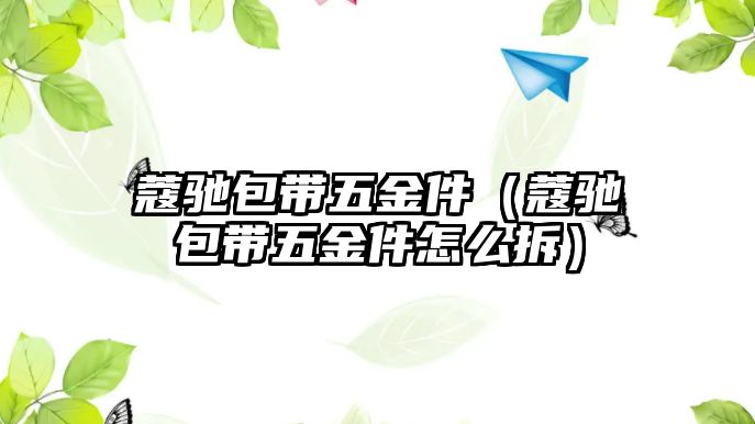 蔻馳包帶五金件（蔻馳包帶五金件怎么拆）