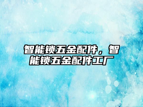 智能鎖五金配件，智能鎖五金配件工廠