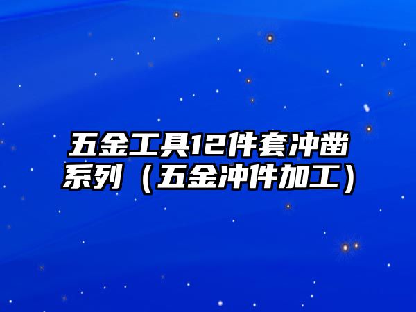 五金工具12件套沖鑿系列（五金沖件加工）