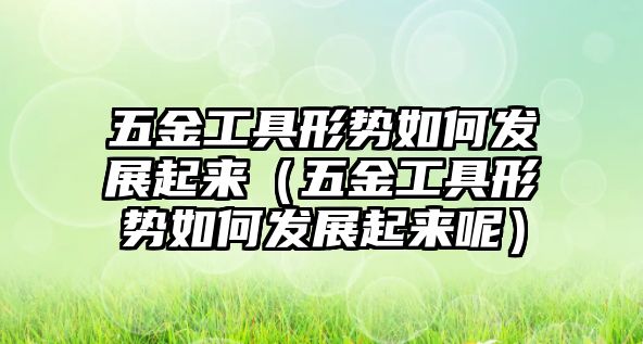 五金工具形勢如何發(fā)展起來（五金工具形勢如何發(fā)展起來呢）