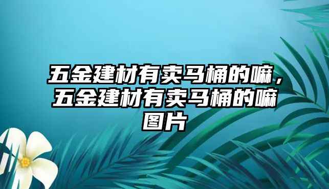 五金建材有賣馬桶的嘛，五金建材有賣馬桶的嘛圖片