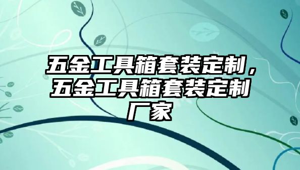 五金工具箱套裝定制，五金工具箱套裝定制廠家