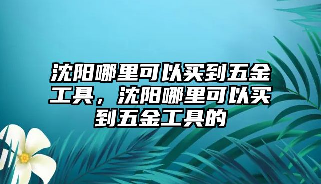 沈陽哪里可以買到五金工具，沈陽哪里可以買到五金工具的