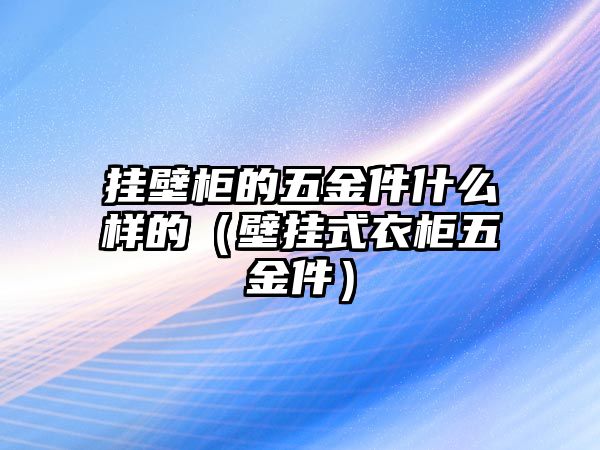 掛壁柜的五金件什么樣的（壁掛式衣柜五金件）