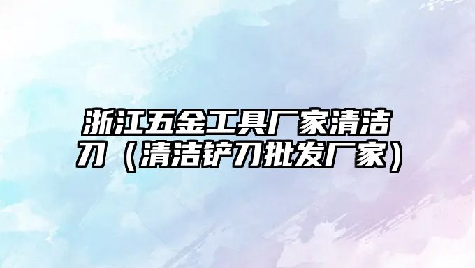 浙江五金工具廠家清潔刀（清潔鏟刀批發廠家）