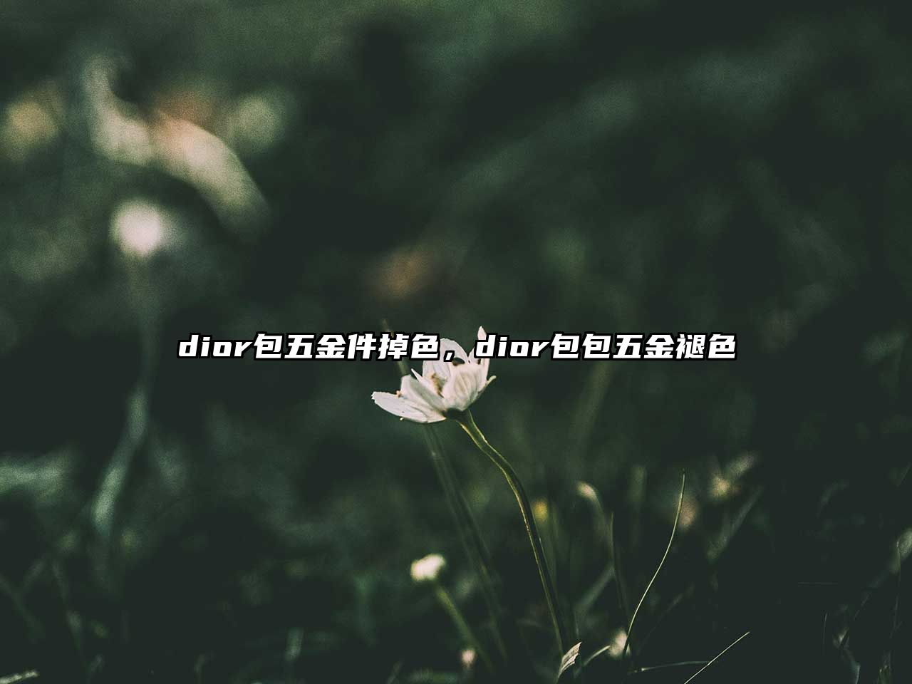 dior包五金件掉色，dior包包五金褪色