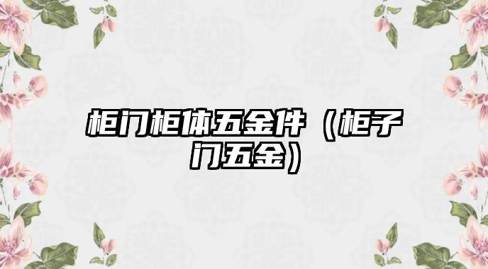 柜門柜體五金件（柜子門五金）