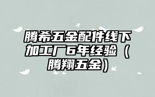 騰希五金配件線下加工廠6年經驗（騰翔五金）