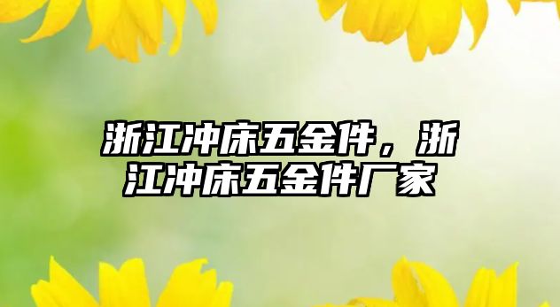 浙江沖床五金件，浙江沖床五金件廠家