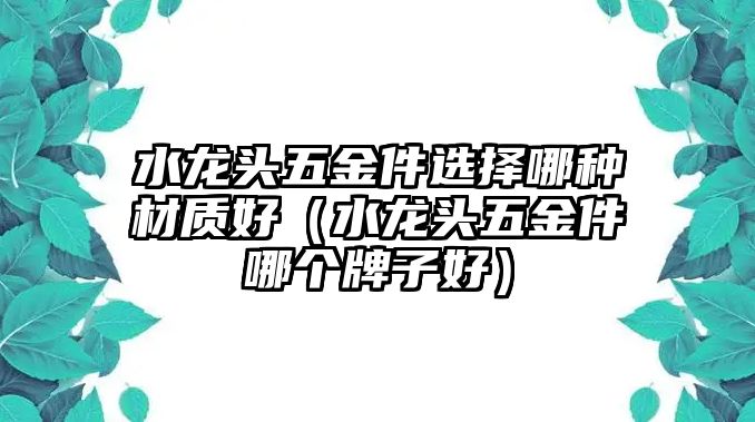 水龍頭五金件選擇哪種材質(zhì)好（水龍頭五金件哪個(gè)牌子好）