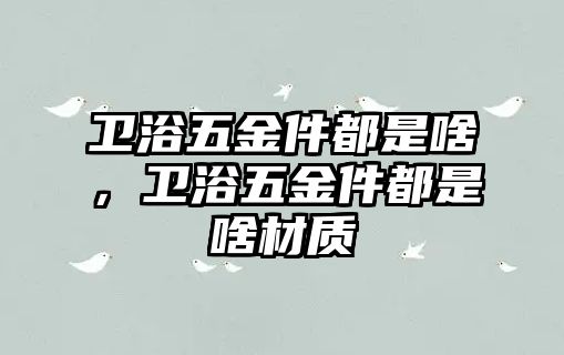 衛浴五金件都是啥，衛浴五金件都是啥材質