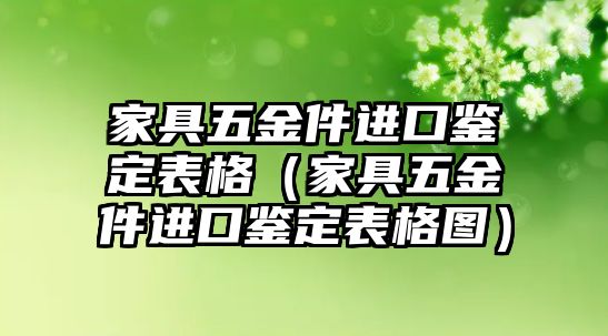 家具五金件進(jìn)口鑒定表格（家具五金件進(jìn)口鑒定表格圖）