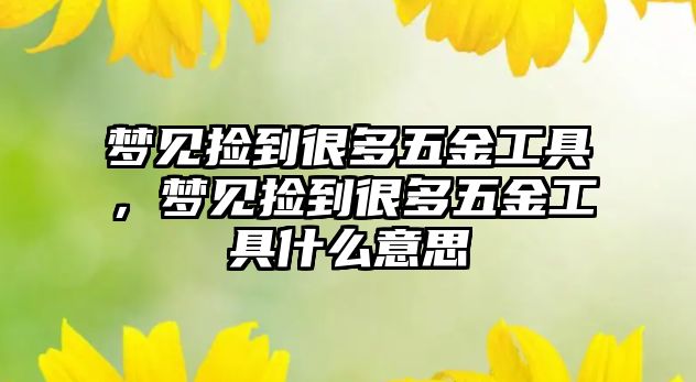 夢見撿到很多五金工具，夢見撿到很多五金工具什么意思