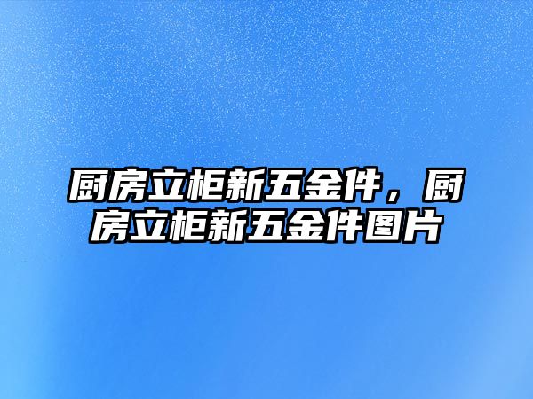 廚房立柜新五金件，廚房立柜新五金件圖片