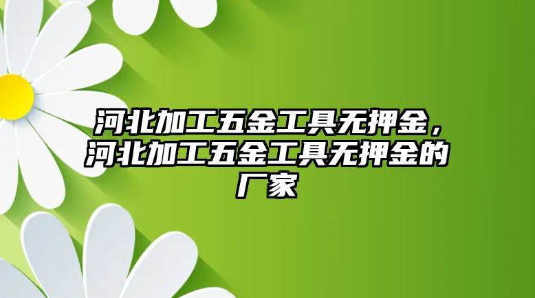 河北加工五金工具無押金，河北加工五金工具無押金的廠家